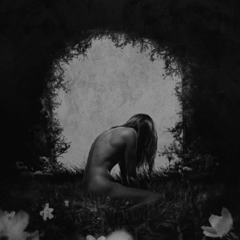 Wildways - Anna