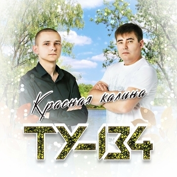 Ту-134 - Красная калина