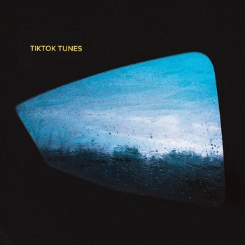 FindMyName - TikTok Tunes