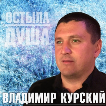 Владимир Курский - Остыла душа