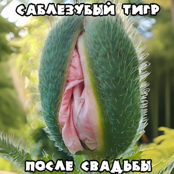 Саблезубый тигр - После свадьбы