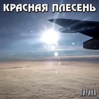 Красная Плесень - Лирика