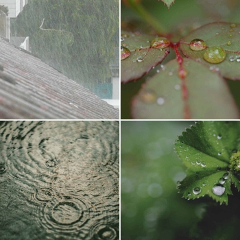 Lo-Fi for Studying - Bgm for Rainy Vibing