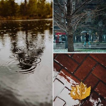 Lo-Fi for Studying - Music for Work from Home Rain