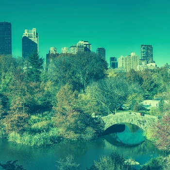 Lo-Fi for Studying - Music for Spring Chilling