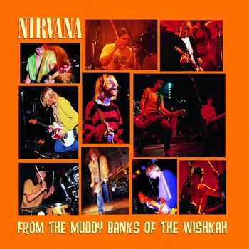 Nirvana - From The Muddy Banks Of The Wishkah (Live)