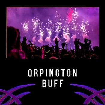 Lo-Fi for Studying feat LofiCentral, Lofi Tokyo - Orpington Buff