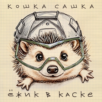 Кошка Сашка - Ёжик в каске