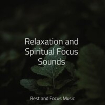 Study Music feat Musica Zen Relaxante, Alpha Waves - Relaxation and Spiritual Focus Sounds