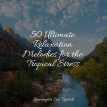 Study Music feat Loopable Sounds for Babies, Dr. Meditation - 50 Ultimate Relaxation Melodies for the Tropical Stress