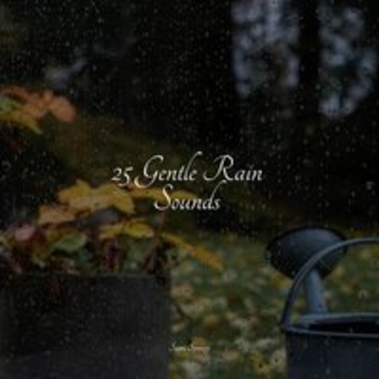 Study Music feat Kinderlieder-Superstar, Massage Music - 25 Gentle Rain Sounds