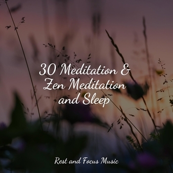 Study Music feat Massage Therapy Music, Relaxation Music Guru - 30 Meditation and Zen Meditation and Sleep