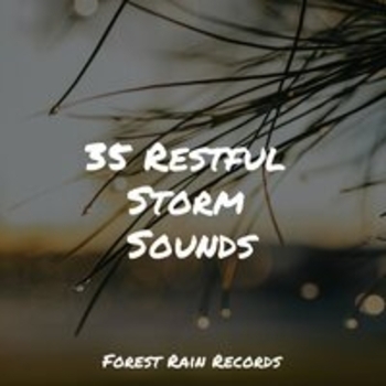 Study Music feat Sounds of Rain and Thunder Storms, Sound Healing Center - 35 Restful Storm Sounds