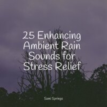 Study Music feat Sounds of Rain and Thunder Storms, Lightning - 25 Enhancing Ambient Rain Sounds for Stress Relief