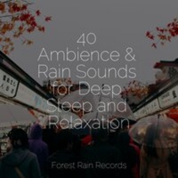 Study Music feat Rain Sounds Xle Library, White Noise Relaxation - 40 Ambience and Rain Sounds for Deep Sleep and Relaxation