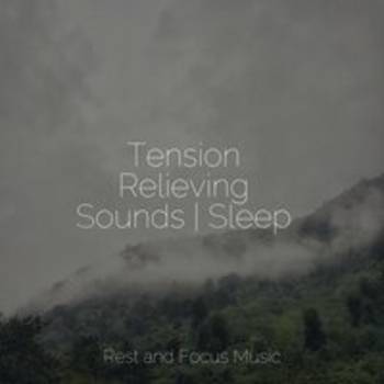 Study Music feat Spa, Deep Sleep Music Experience - Tension Relieving Sounds - Sleep