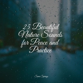 Study Music feat Nature Sound Series, Regengerausche - 25 Beautiful Nature Sounds for Peace and Practice
