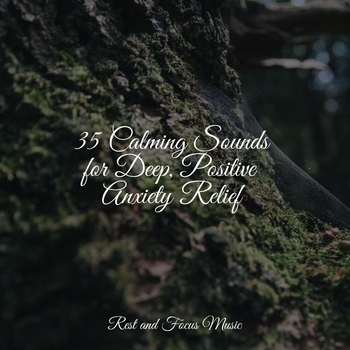 Study Music feat Musica Zen Relaxante, Meditation Music Club - 35 Calming Sounds for Deep, Positive Anxiety Relief