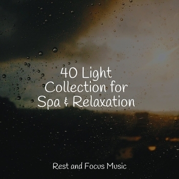 Study Music feat Study Music and Sounds, Soothing Chill Out For Insomnia - 40 Light Collection for Spa and Relaxation