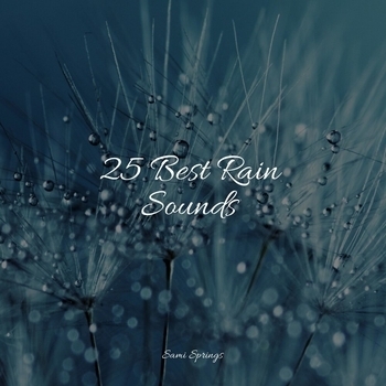 Study Music feat Rain Recorders, The White Noise Zen and Meditation Sound Lab - 25 Best Rain Sounds
