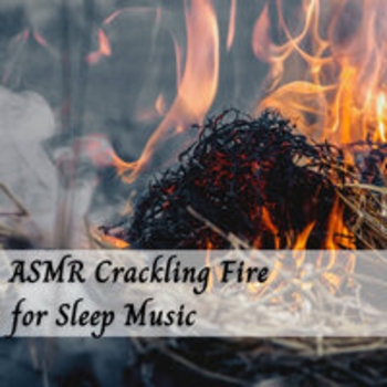 Study Music feat Fireplace Sounds, Dog Music Therapy - ASMR Crackling Fire for Sleep Music