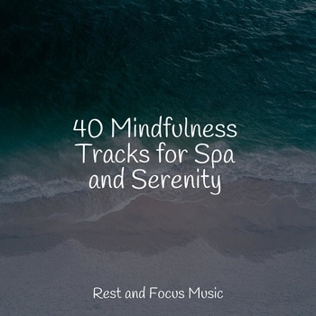 Study Music feat Musique Zen Garden, Academia de Meditacao Buddha - 40 Mindfulness Tracks for Spa and Serenity