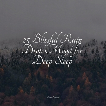 Study Music feat Sleep Sounds, Lullaby Rain - 25 Blissful Rain Drop Mood for Deep Sleep