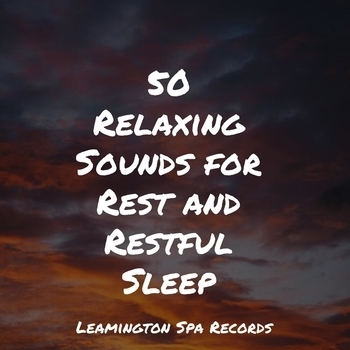 Study Music feat Nature Ambience, Organic Nature Sounds - 50 Relaxing Sounds for Rest and Restful Sleep
