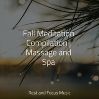 Study Music feat Relaxing Mindfulness Meditation Relaxation Maestro, Music to Relax in Free Time - Fall Meditation Compilation - Massage and Spa