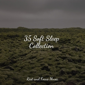 Study Music feat Relajacion, Meditacao Maestro - 35 Soft Sleep Collection
