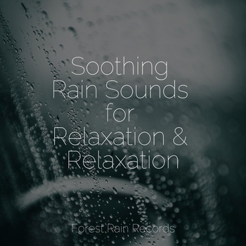 Study Music feat Nature Sounds Nature Music, Relaxation - Soothing Rain Sounds