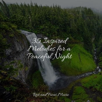 Study Music feat Namaste Healing Yoga, Sounds of Nature White Noise for Mindfulness Meditation and Relaxation - 35 Inspired Melodies for a Peaceful Night