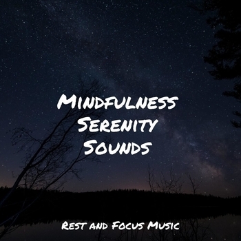 Study Music feat The White Noise Zen and Meditation Sound Lab, Chakra Meditation Universe - Mindfulness Serenity Sounds