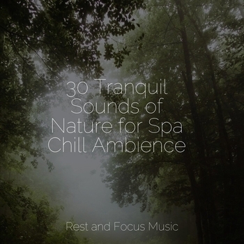 Study Music feat Especialistas de Musica para Dormir, Reiki Tribe - 30 Tranquil Sounds of Nature for Spa Chill Ambience