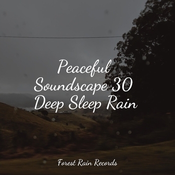 Study Music feat Nature Sounds for Relaxation and Sleep, Rain Sounds and White Noise - Peaceful Soundscape 30 Deep Sleep Rain