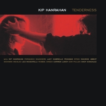 Sting feat Kip Hanrahan - Tenderness