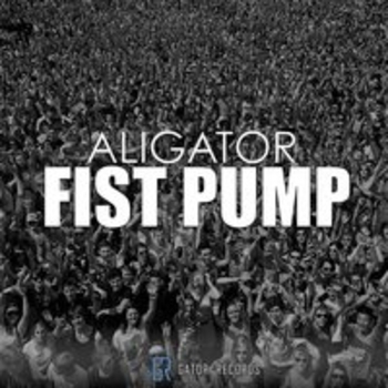 DJ Aligator - Fist Pump