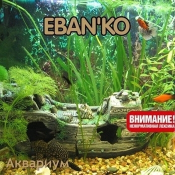 Ебанько - Аквариум