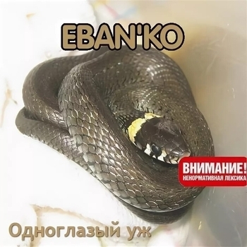 Ебанько - Одноглазый уж
