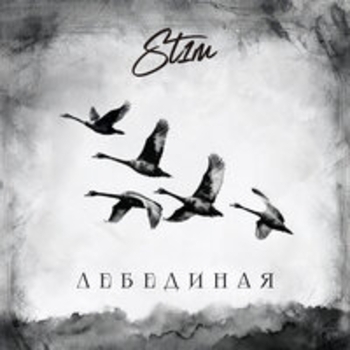 St1m - Лебединая