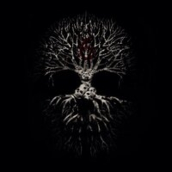 Amatory - 6