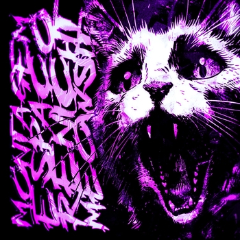 Montagem Espaco Renicht Meowsith
