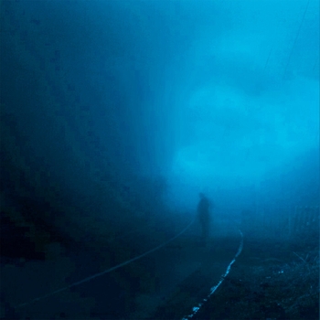 Lonely. - destiny