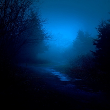 Lonely. - dark
