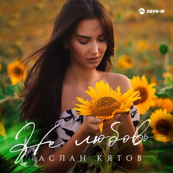 Не любовь (Single 2021) 