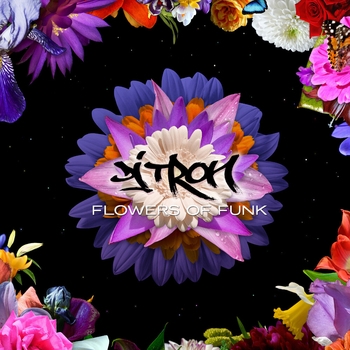 DJ Tron - Flowers of Funk