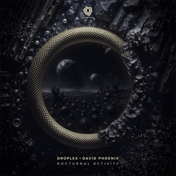 Droplex, David Phoenix - Nocturnal Activity