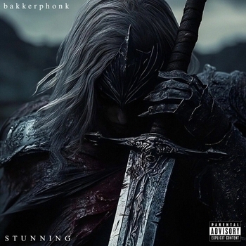 Bakkerphonk - STUNNING