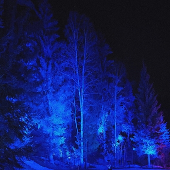 Night Park (2026)