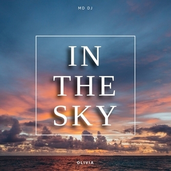 In The Sky (2026)